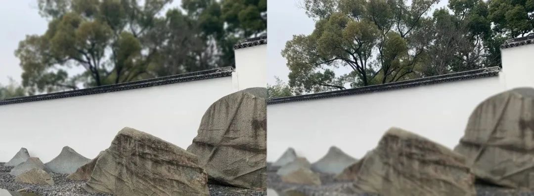 天马2.jpg